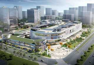 麻香藤椒油采购多少钱